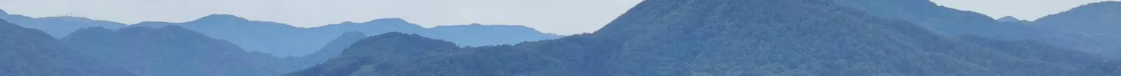 景色